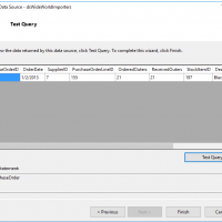 Click Test Query, enter a parameter value, and make sure you get the results you expect